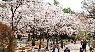 Kairakuen Garden