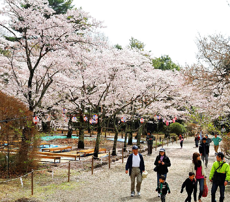 Kairakuen Garden