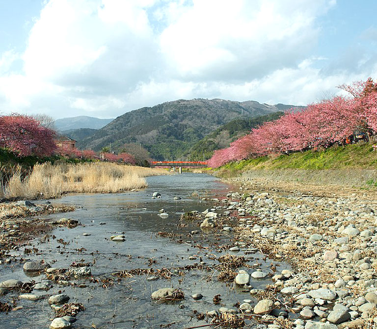 Kawazu-River