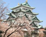 Nagoya-Castle