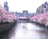 OOKAGAWA River (Yokohama)