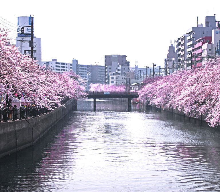 OOKAGAWA River (Yokohama)