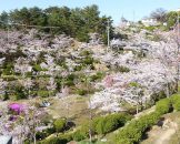 SENKOJI PARK