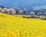 สวน อุวะเซกิงะตะUwasekigata Park Niigata