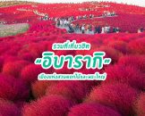 แจกลิสต์ 15 ที่เที่ยวฮิตใน อิบารากิ เมืองสวยชิล ห้ามพลาด ใกล้โตเกียว