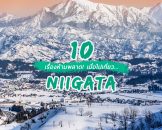 รวมฮิต 10 เรื่องห้ามพลาด เมื่อไปเที่ยวนีงาตะ Niigata Travel