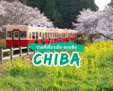 รวม 13 ที่เที่ยวฮิต ชิบะ Chiba เที่ยวเมืองโบราณ ชมสวนดอกไม้ และฟาร์มแกะ