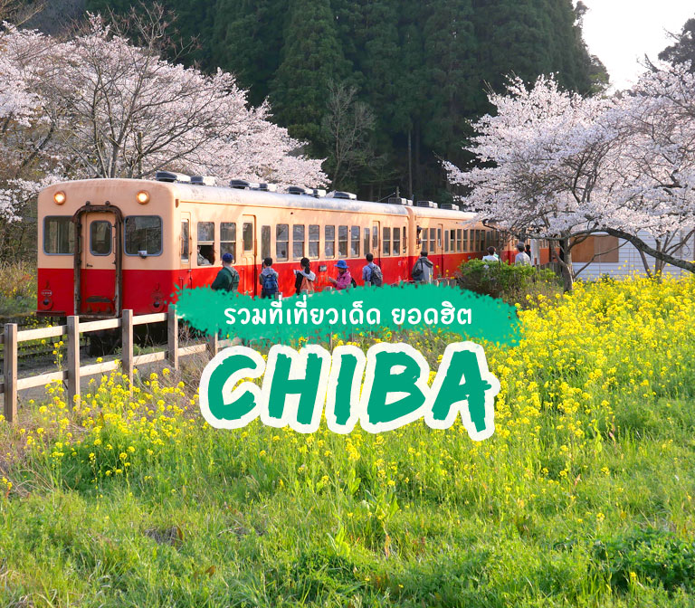 รวมที่เที่ยวฮิตใน Chiba เที่ยวเมืองโบราณ ชมสวนดอกไม้ และฟาร์มแกะ อัพเดท 2023