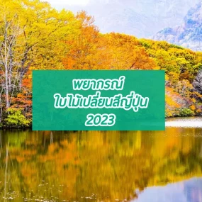 2023-autumn-color-leaf-forecast