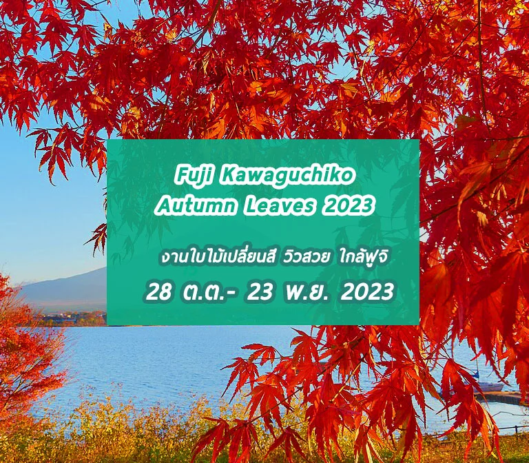 เทศกาลใบไม้เปลี่ยนสี Fuji Kawaguchiko Autumn Leaves Festival 2023
