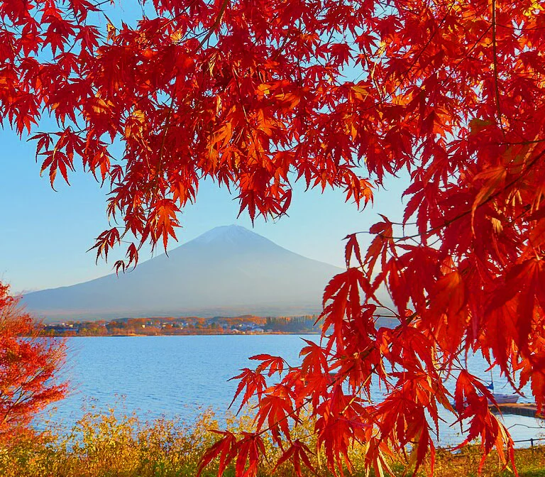 fuji-kawaguchiko-autumn-leaves-festival-2023-2