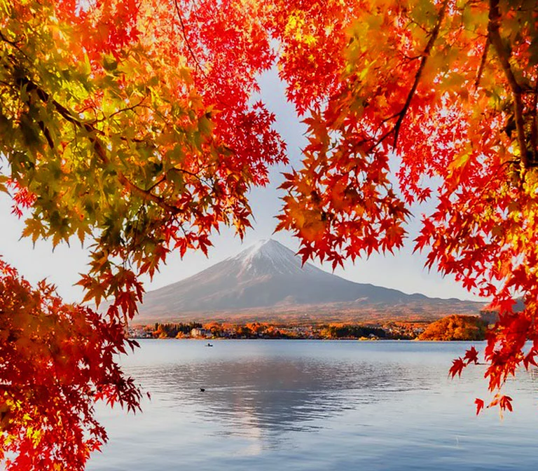 fuji-kawaguchiko-autumn-leaves-festival-2023-2