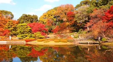 Imperial East Garden