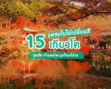 แนะนำ 15 จุดชมใบไม้เปลี่ยนสีเกียวโต สวยสุดอลังการ ทั้งใบไม้แดง เหลือง ส้ม