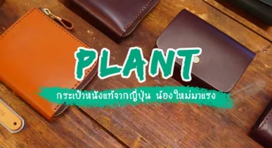 plant-brand