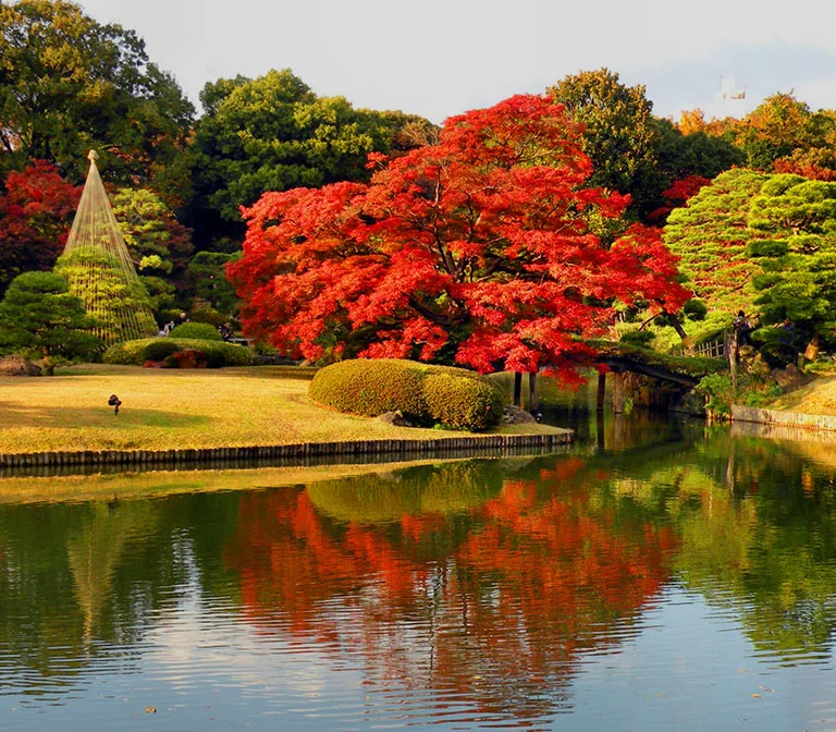 rikugien-garden