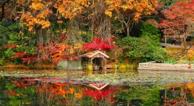 วัดเรียวอันจิ---Ryoanji-Temple