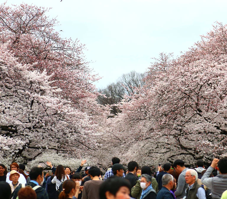 Ueno Park