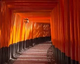 fushimi-inari-shrine
