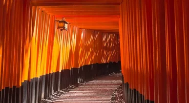 fushimi-inari-shrine