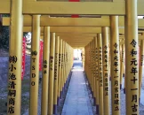 Review image of Hoshiimo Shrine Horide Shrine Cover