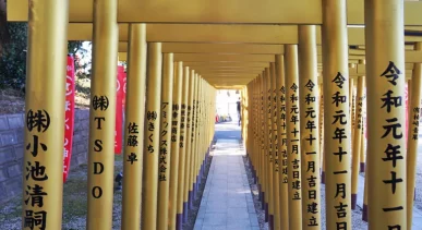 Review image of Hoshiimo Shrine Horide Shrine Cover