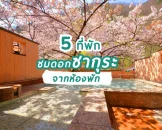 5 โรงแรมที่พัก ชมวิวซากุระสุดอลังการจากห้องพัก