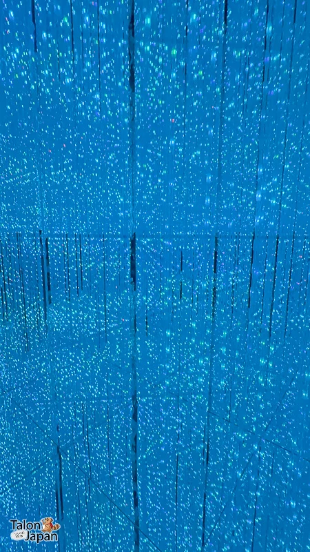 Review image of Teamlab Tokyo 