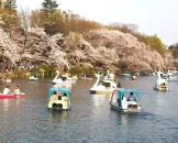 inokashira-park