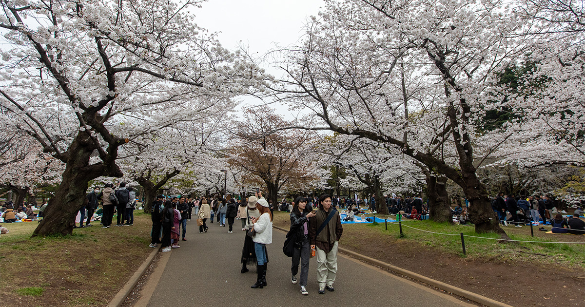 สวนโยโยงิ