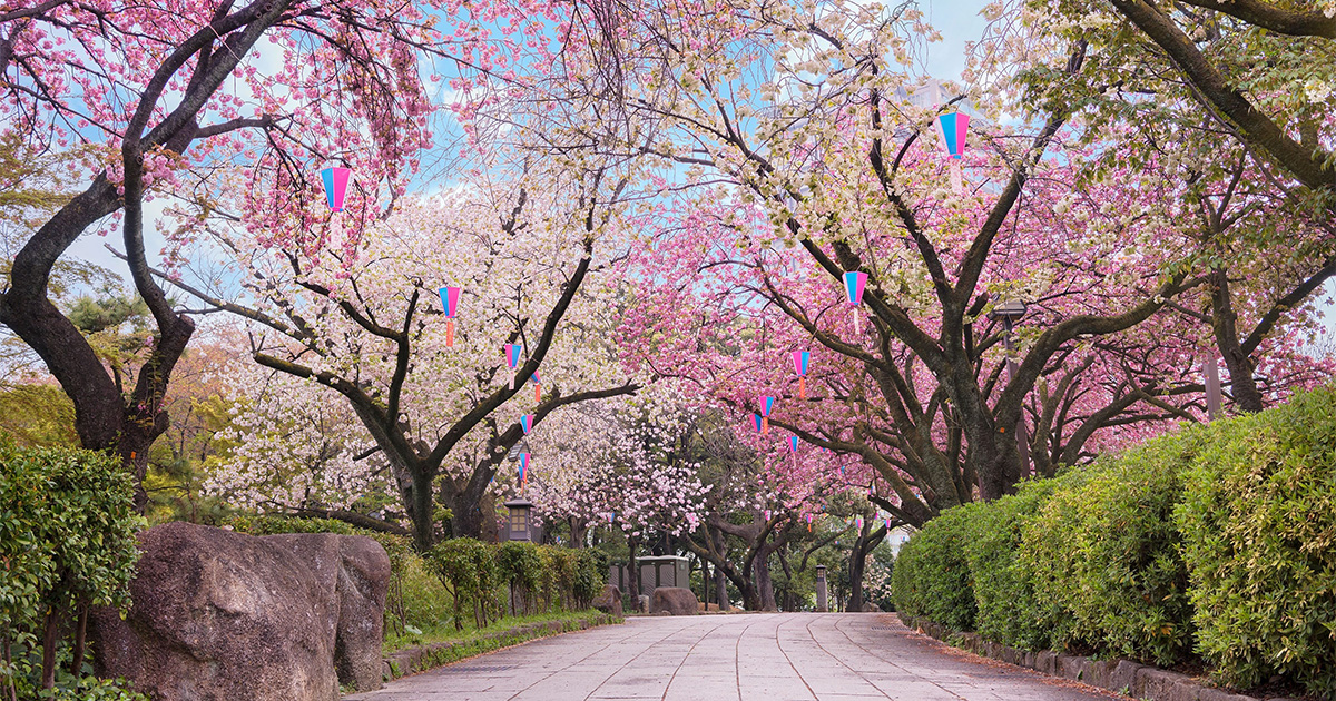 สวนอาซุกายามะ