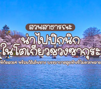 ซากุระ