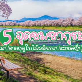ซากุระ