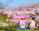 ฮานามิ