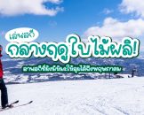 สกี