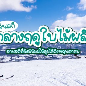 สกี