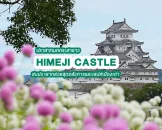 full-day-trip-himeji